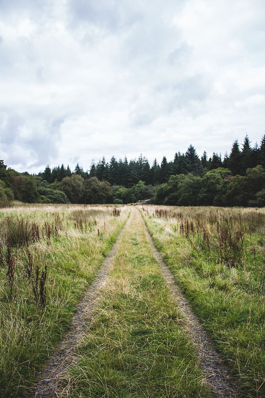 green grass field, road, dirt road, gravel, path, kielder, united kingdom HD wallpaper