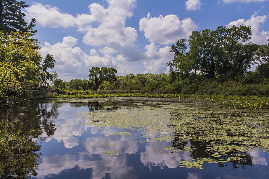 reflection, water, lake, sea, sky, outdoors, hiking, wildlife HD wallpaper