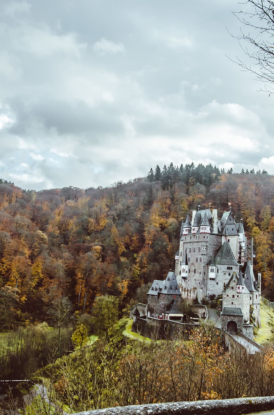 trees, forest, castle, sky, cloud - sky, land, plant, nature HD wallpaper
