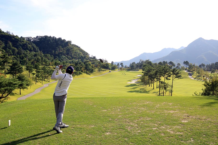 golf, green, field, grass, sport, golfers, golf course, landscape HD wallpaper
