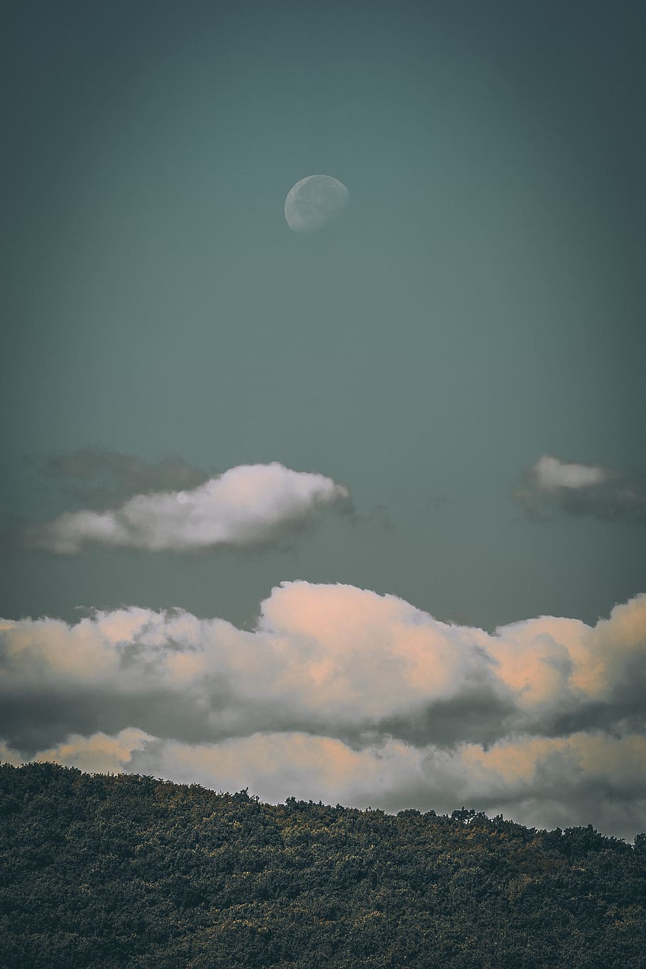 green trees field under white cloudy sky, cloud - sky, moon, beauty in nature HD wallpaper