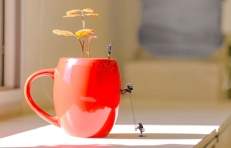 climber, flowerpot, object, figure, tiny, close-up, red, indoors HD wallpaper