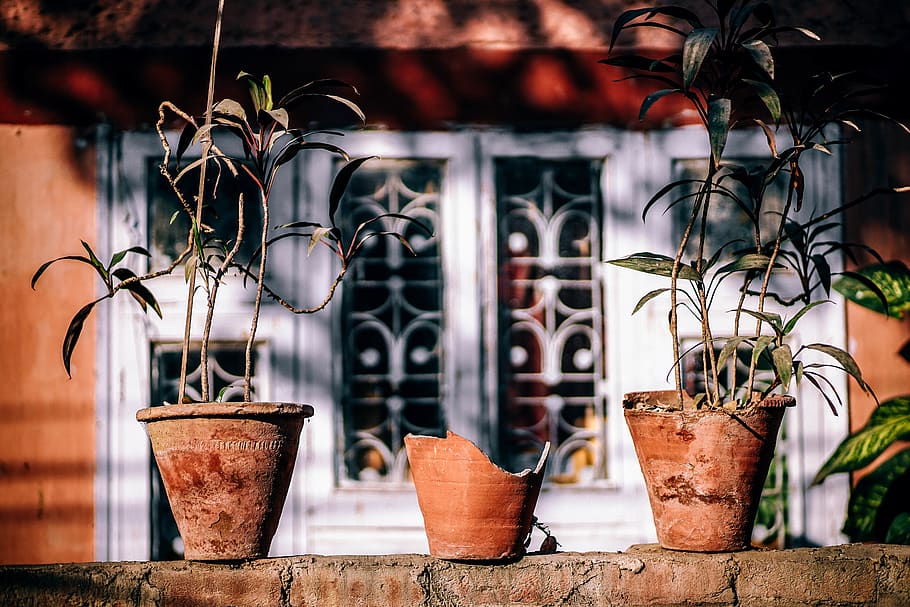 Three Brown Clay Pots Behind Window, blur, broken, ceramic, daylight