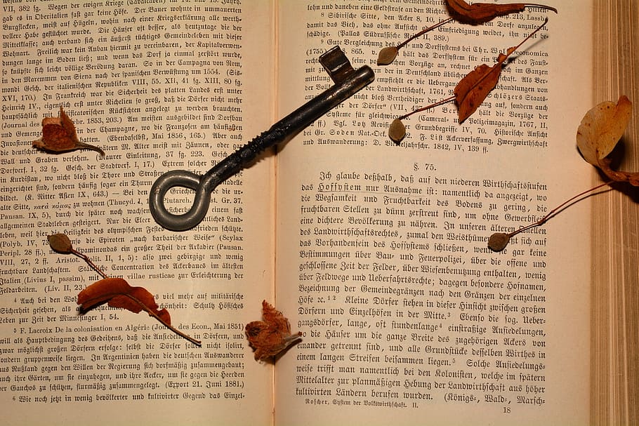 book, paper, read, study, novel, knowledge, work, text, western script HD wallpaper