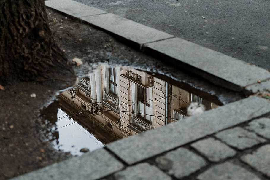 body of water with reflection of beige painted building, puddle HD wallpaper