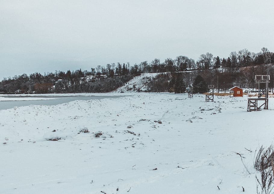 canada, goderich, snow, winter, beach, trees, cold temperature HD wallpaper