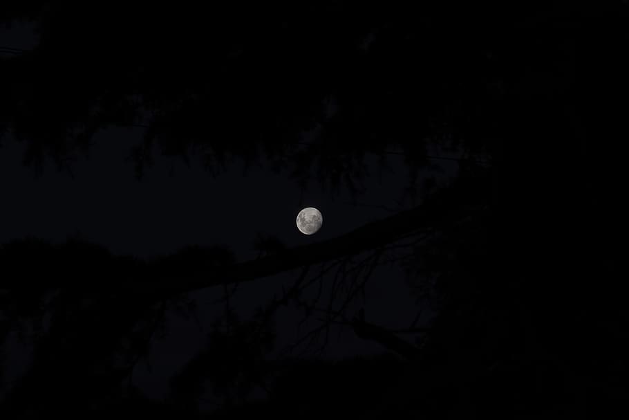 full moon, nature, outdoors, night, astronomy, space, outer space HD wallpaper