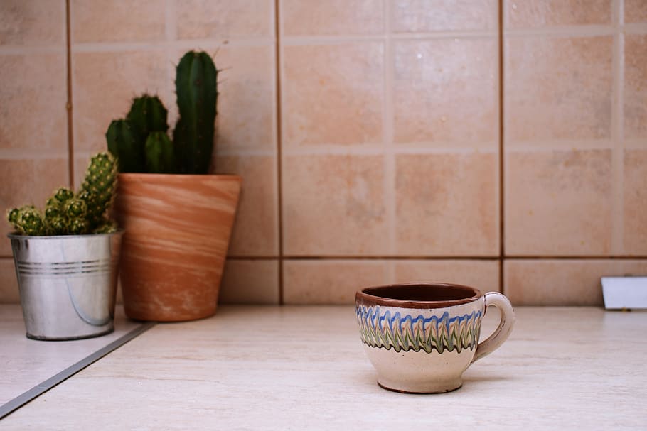 Brown Ceramic Mug, cacti, cup, plants, pot plants, vase, potted plant HD wallpaper