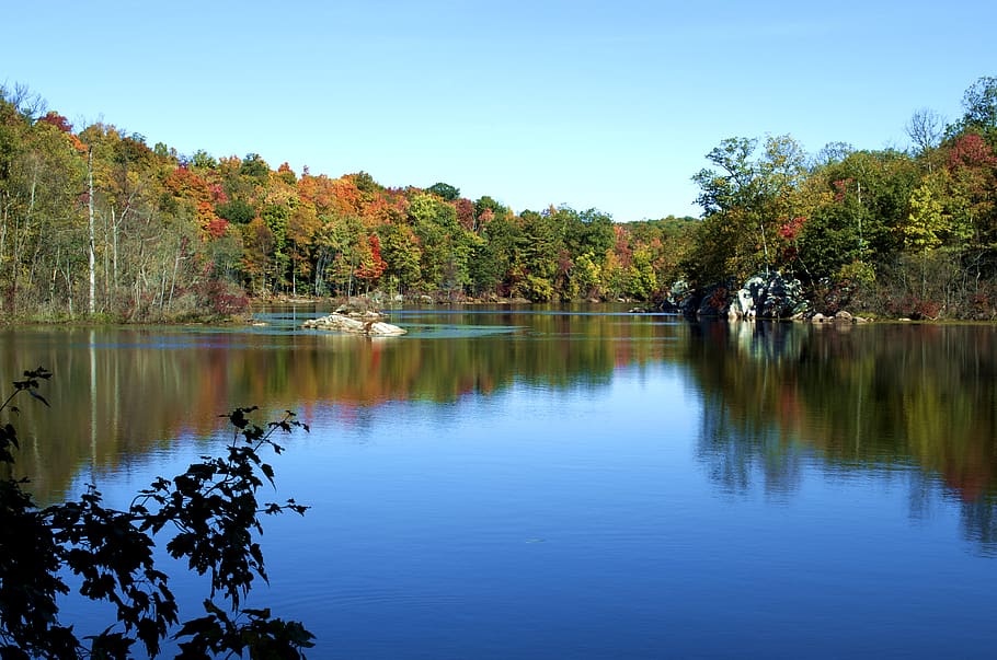 lake, forest, trees, autumn, fall, hiking, hike, nature, reflection HD wallpaper