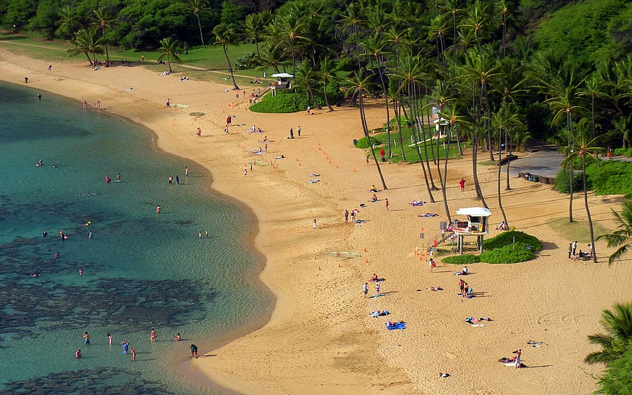 Aerial Photography of Beach, coast, high angle shot, landscape HD wallpaper