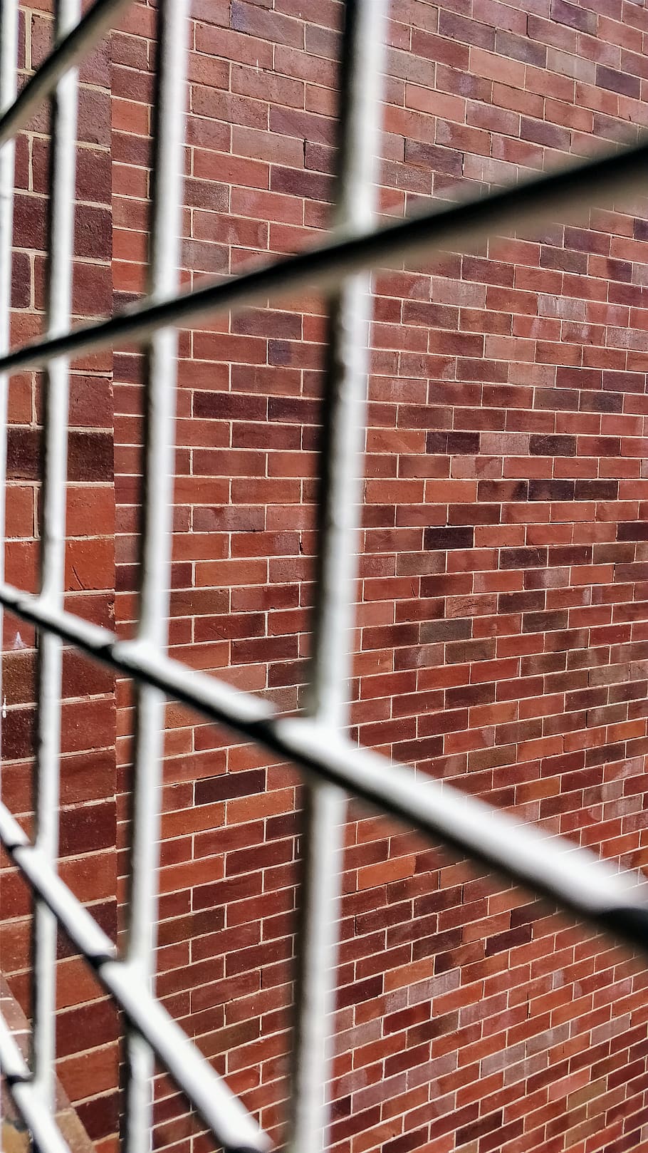 bricks, mesh, grille, red, white, wallpaper, jail, brick wall HD wallpaper