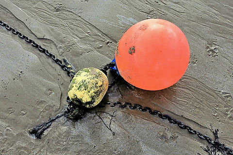 orange buoy, egg, food, plant, sphere, clothing, apparel, helmet HD wallpaper