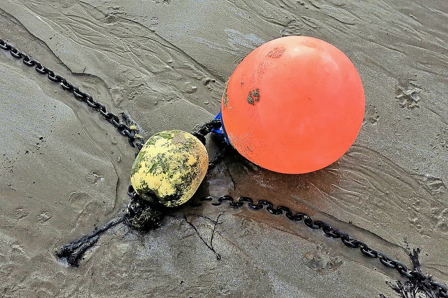 orange buoy, egg, food, plant, sphere, clothing, apparel, helmet HD wallpaper