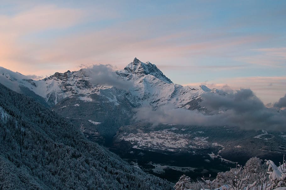 snow, winter, tree, plant, nature, mountain, highland, sky HD wallpaper