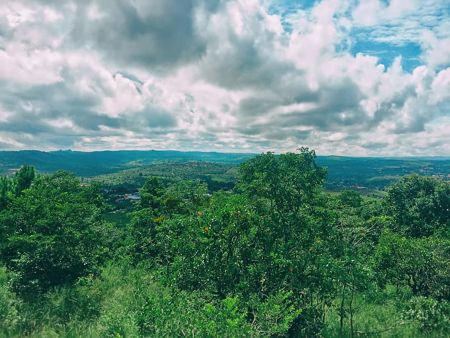 summer, sky, blue, cloudy, trees, green, landmarks, nobody HD wallpaper