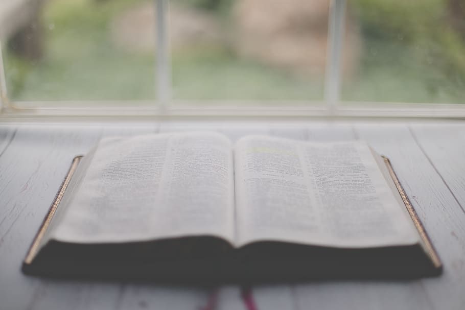 book on table, publication, open, selective focus, window, indoors HD wallpaper