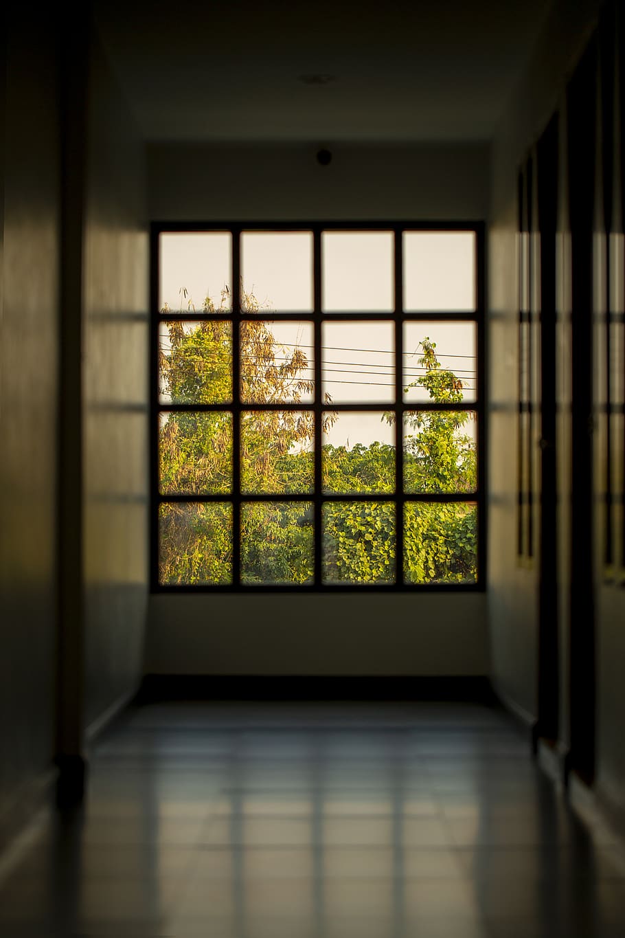 flooring, corridor, window, handrail, banister, building, skylight HD wallpaper
