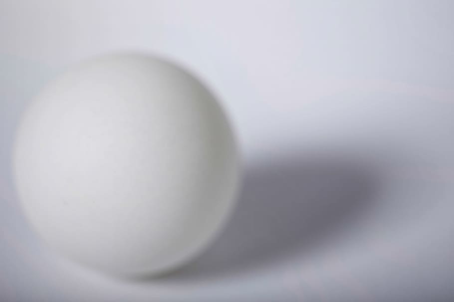 white, ball, sphere, pong, shadow, circle, ping, pingpongball HD wallpaper