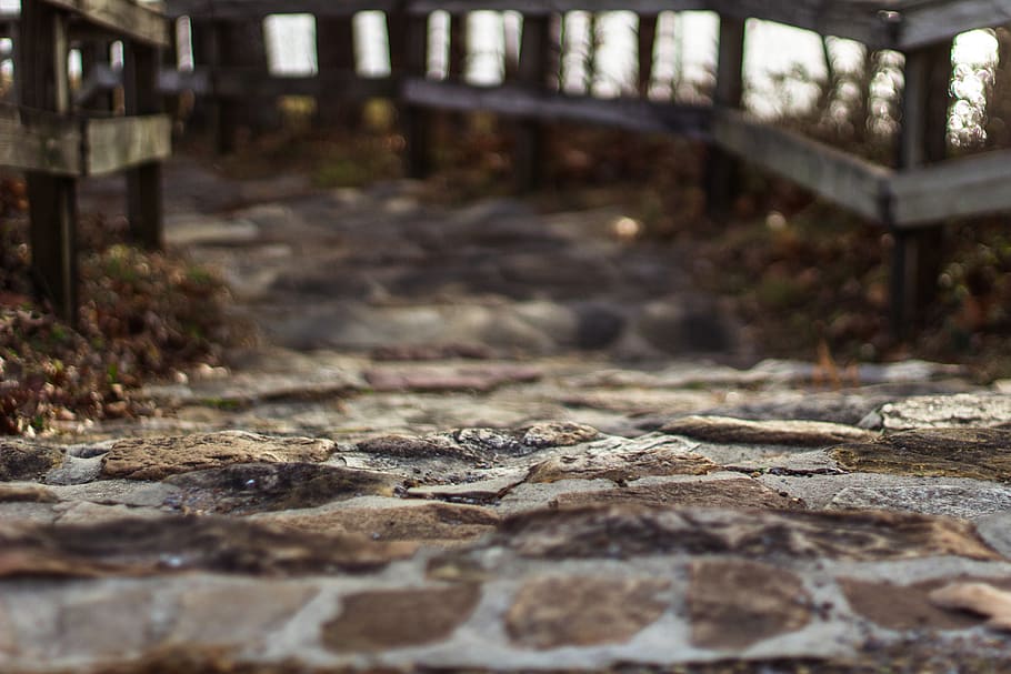 rocks, path, trees, water, stone, steps, selective focus, day HD wallpaper