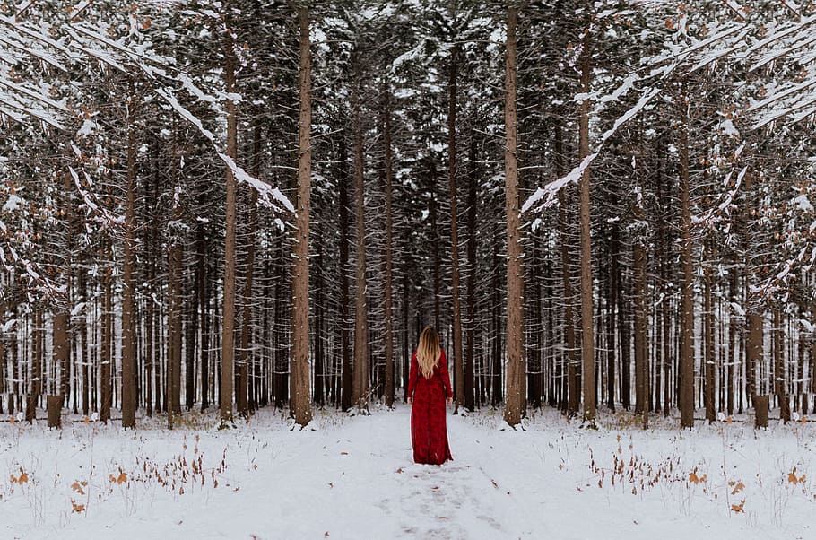 tree, plant, forest, snow, winter, people, girl, alone, red HD wallpaper
