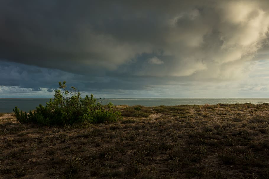 france, lège-cap-ferret, cap ferret, capferret, seaside, sand, HD wallpaper