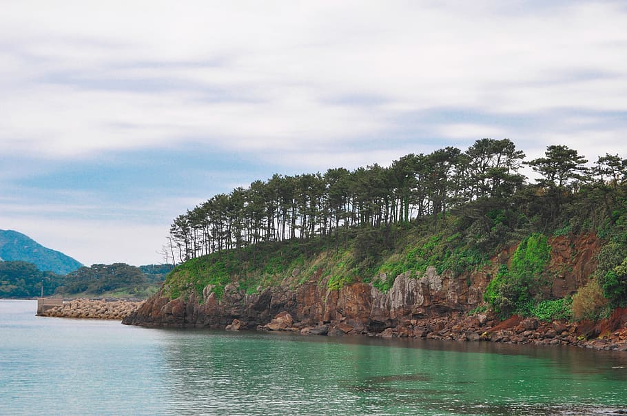 rock, tree, explore, outside, beautiful, rocky, sea, seaside HD wallpaper