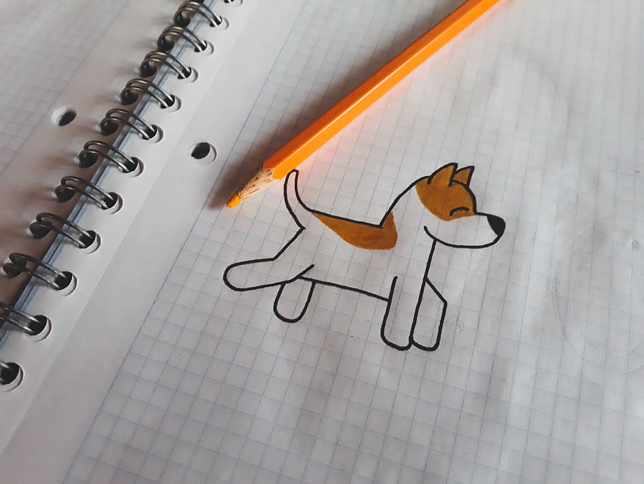 HD wallpaper: Drawing a dog on graph paper., brown, no people, indoors,  close-up | Wallpaper Flare
