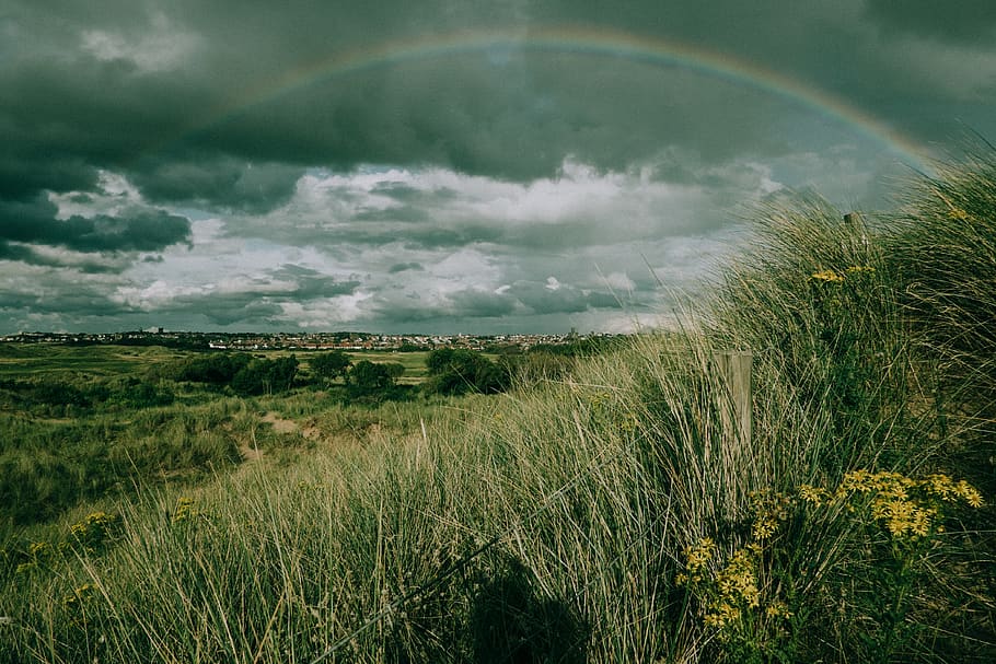 rainbow, weather, uk, wirral, coastline, film, plant, cloud - sky HD wallpaper