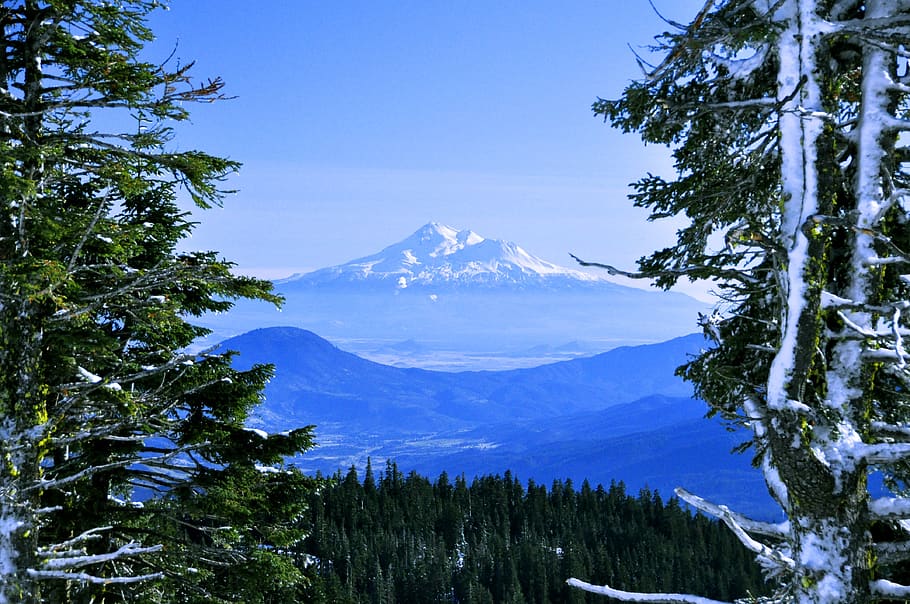 HD wallpaper: shasta, mountain, tree, landscape, california, nature 