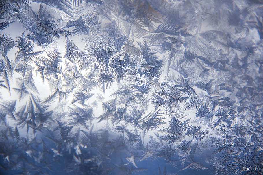 frost, window, cold, winter, icy, frosty, blue, texture, backgrounds, HD wallpaper