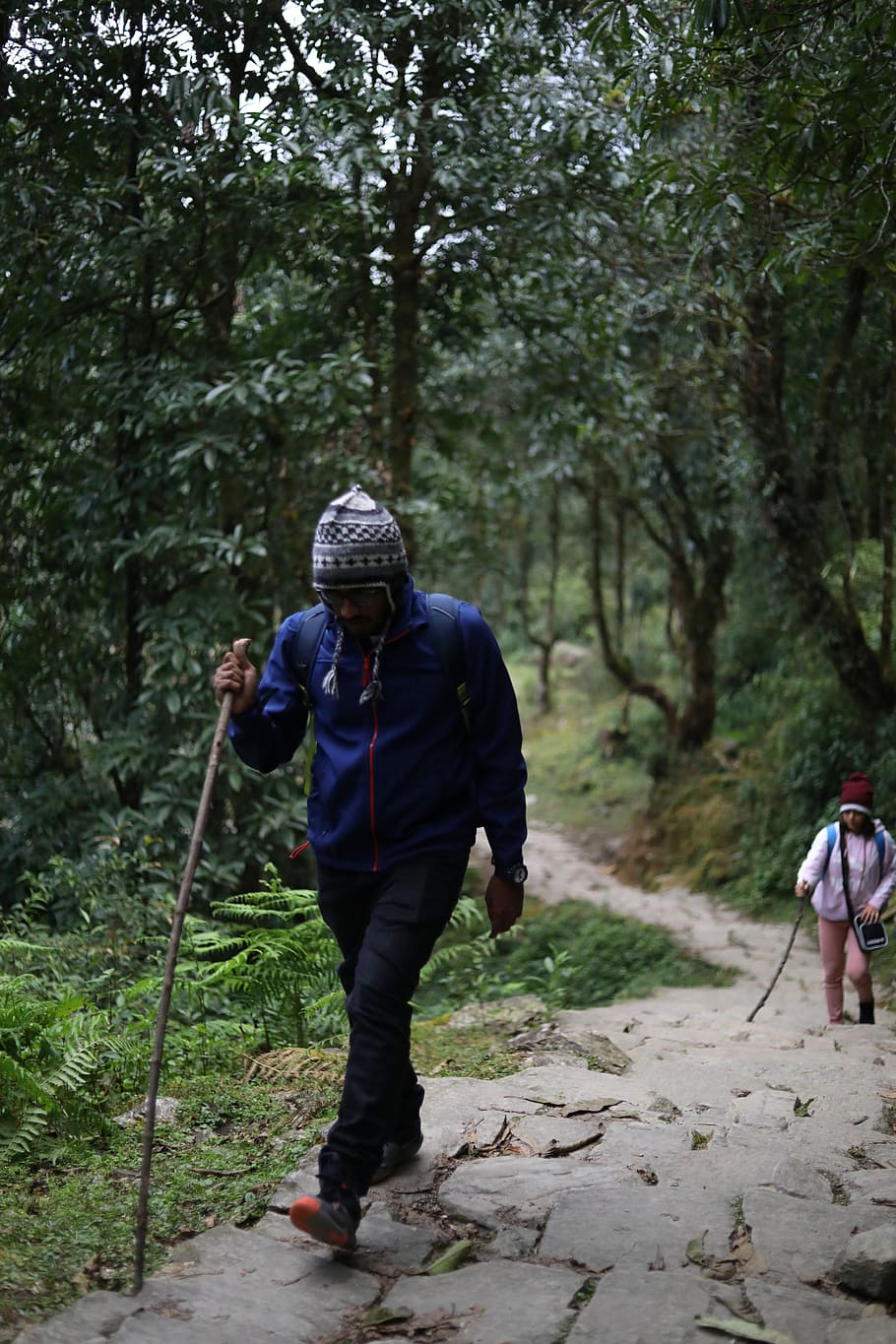man holding stick walking in jungle during daytime, human, person, HD wallpaper