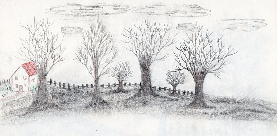HD wallpaper: trees, handdrawn, landscape, drawing, nature, cold  temperature | Wallpaper Flare