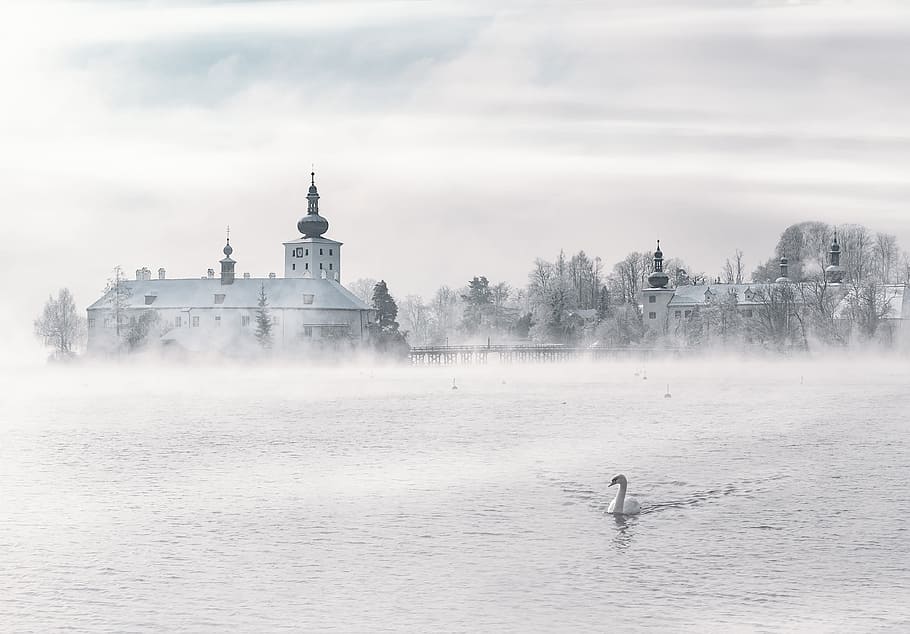 Swan on Body of Water Near Building, black and white, buildings HD wallpaper