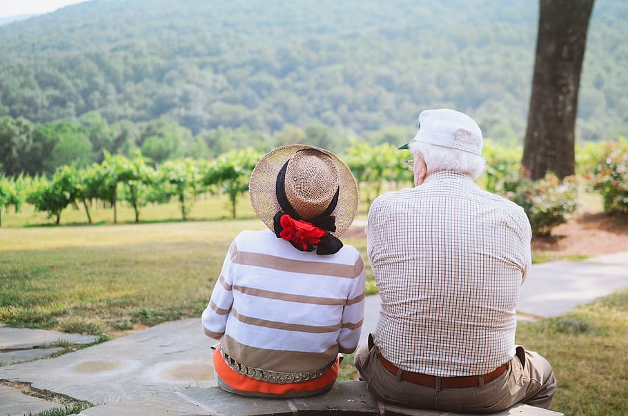 couple sitting on pathway, rear view, hat, real people, men, nature HD wallpaper