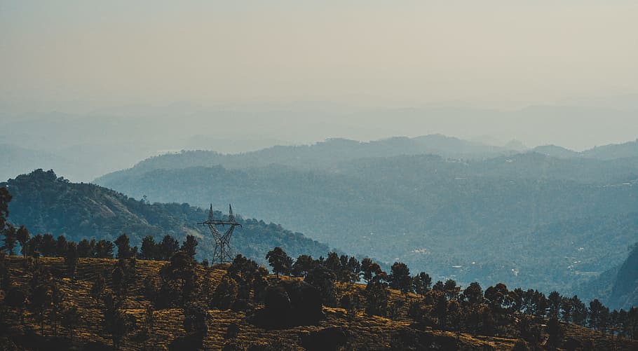 Trees on Mountain at Daytime Landscape Photography, cropland HD wallpaper