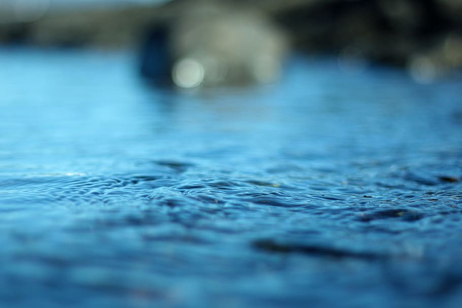 selective focus, no people, close-up, day, surface level, blue HD wallpaper