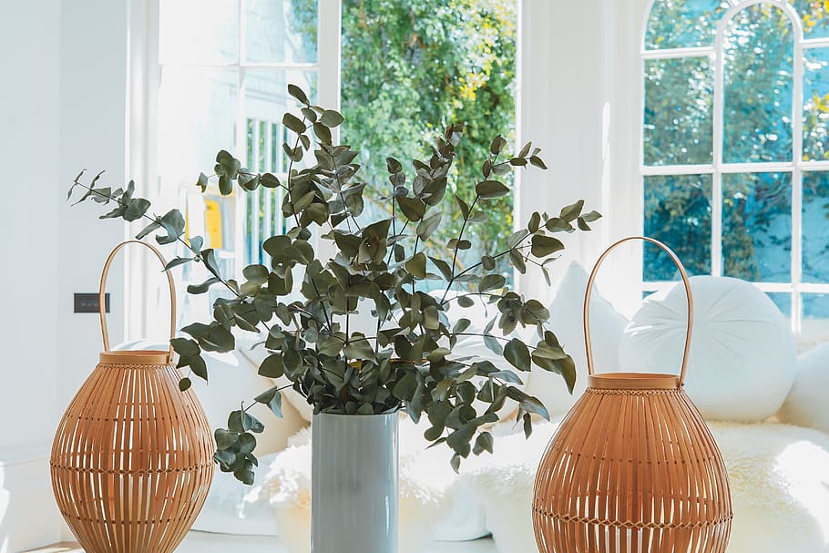 two beige table decors, plant, indoors, window, no people, home interior HD wallpaper