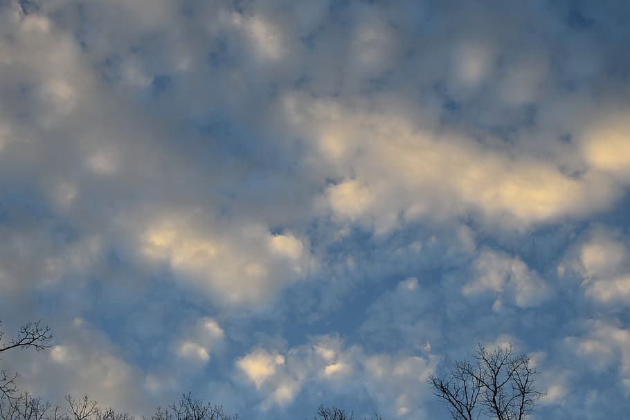 nature, outdoors, sky, cloud, weather, cumulus, azure sky, morning HD wallpaper