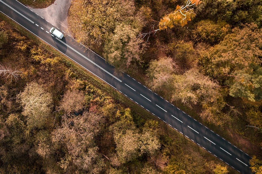 way, forest, tree, landscape, forests, autumn, car, drone, bird species, HD wallpaper