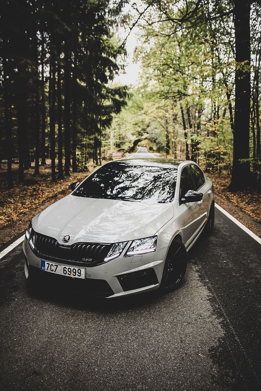 white Kia Ceed parked in tree lined road, octaviar, skoda, car HD wallpaper