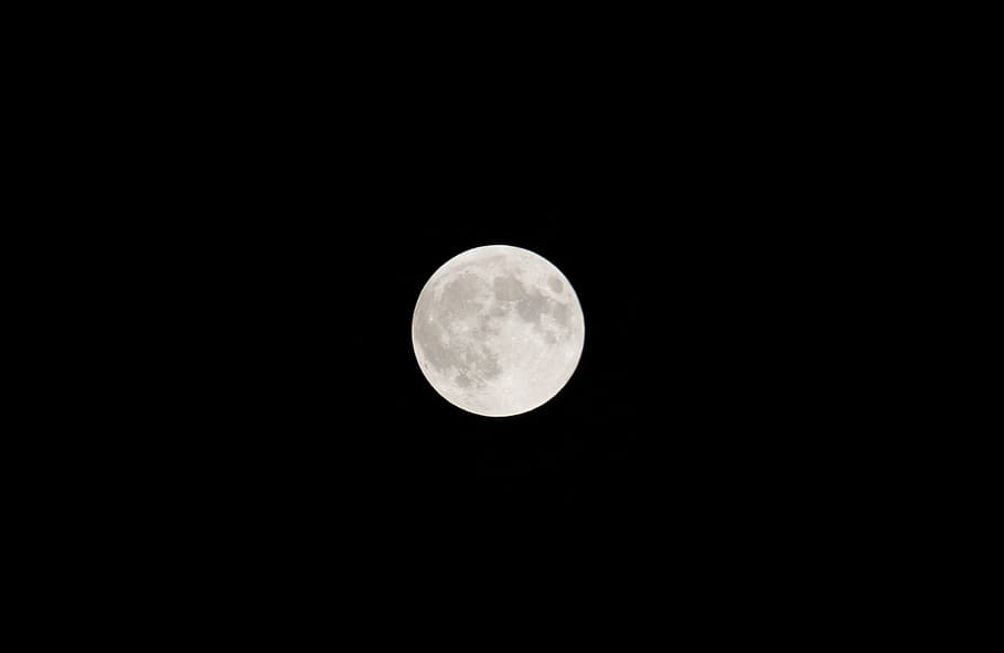the moon, space, astronomy, night, planetary moon, sky, beauty in nature HD wallpaper