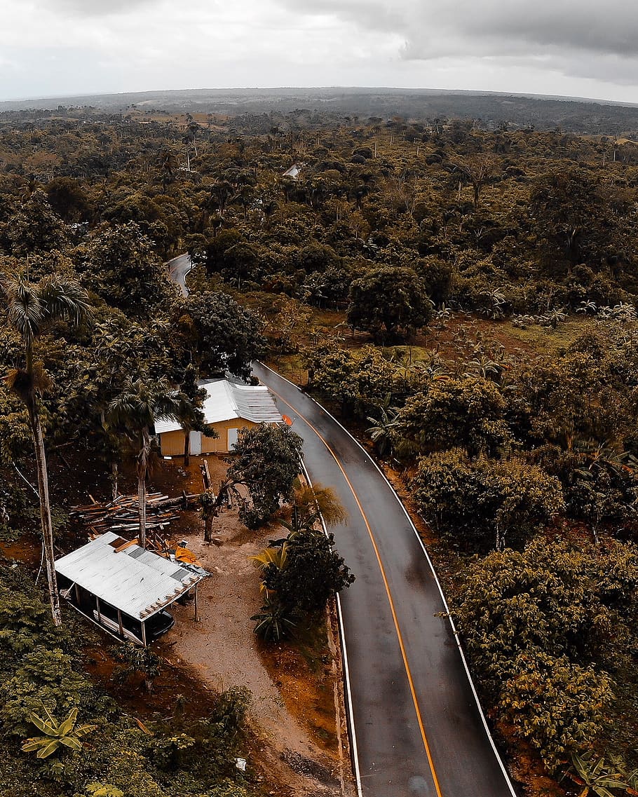 house, cloud, sky, bird, over, above, drone, trip, forest, way HD wallpaper