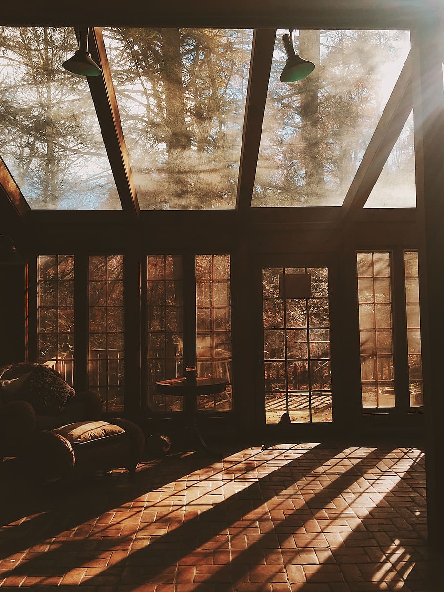 window, tree, indoors, day, architecture, no people, nature HD wallpaper