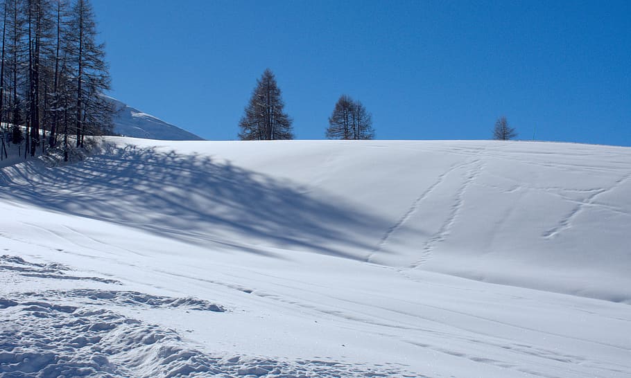 snow, mountain, livigno, sci, cold, italy, mountains, nature, HD wallpaper