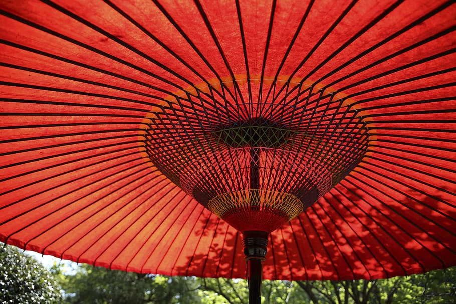 red, umbrella, trees, leaves, forest, stripes, lines, protection HD wallpaper
