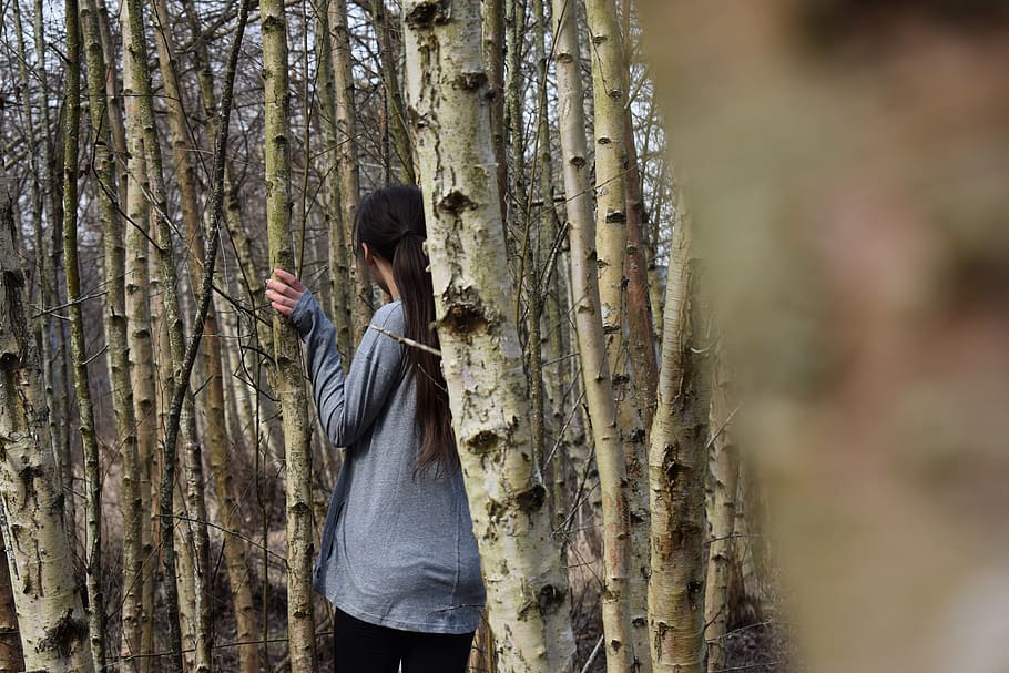 tree, plant, tree trunk, birch, person, human, clothing, sleeve HD wallpaper