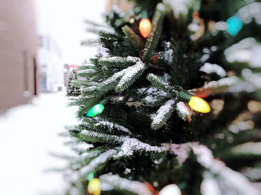christmas, tree, lights, decoration, celebration, xmas, holiday HD wallpaper