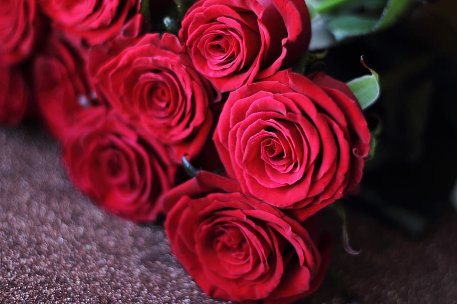red, roses, background, flower, bouquet, valentine, day, beauty HD wallpaper