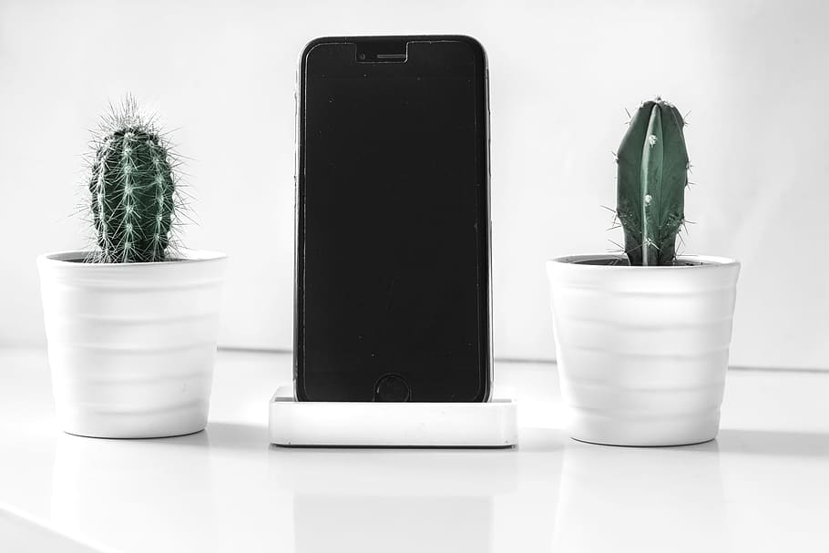 post-2016 iPhone near cactus plants, dock, stand, cacti, succulent HD wallpaper