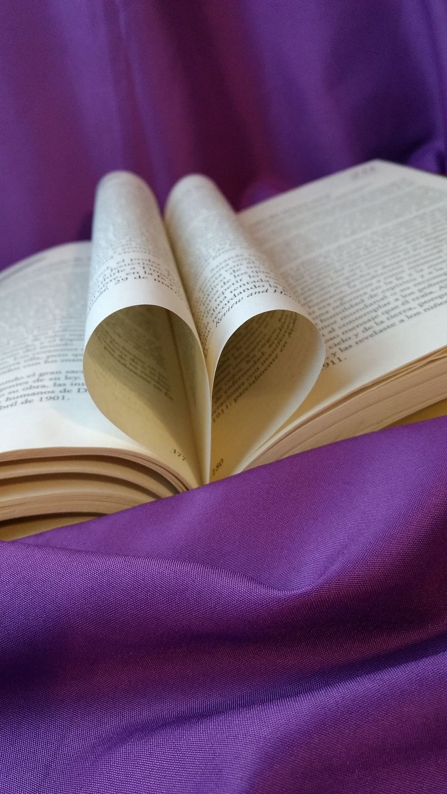publication, book, education, page, purple, indoors, open, close-up HD wallpaper